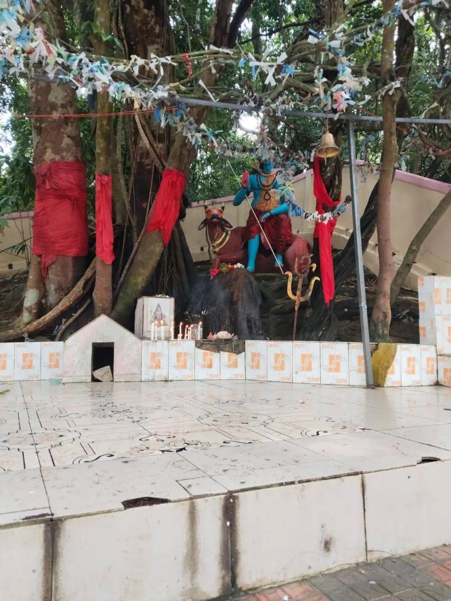 কালাগুল শ্রী শ্রী মহালক্ষ্মী গ্রীবাপীঠ photo