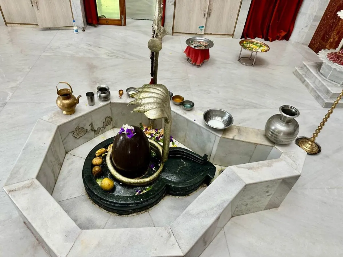শ্রী শ্রী বিশ্বনাথ মন্দির (শংকর মঠ ও মিশন) photo
