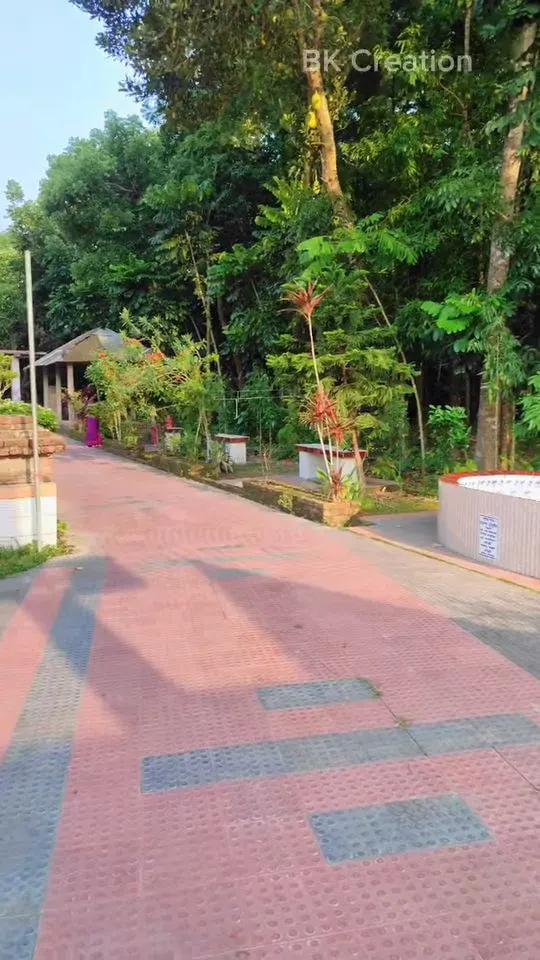 শ্রী শ্রী নারিকেলবাড়ীয়া মহাশ্মশান শিব মন্দির photo