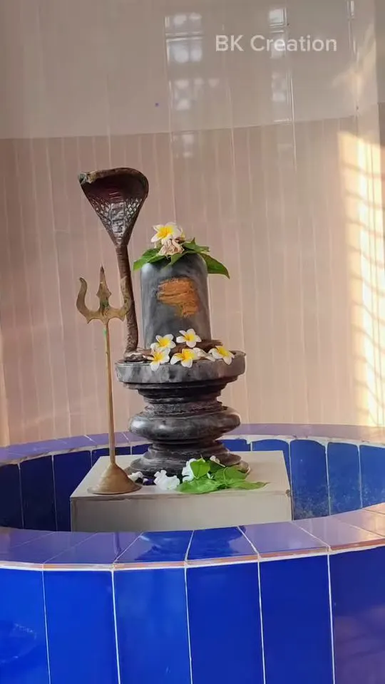 শ্রী শ্রী নারিকেলবাড়ীয়া মহাশ্মশান শিব মন্দির photo