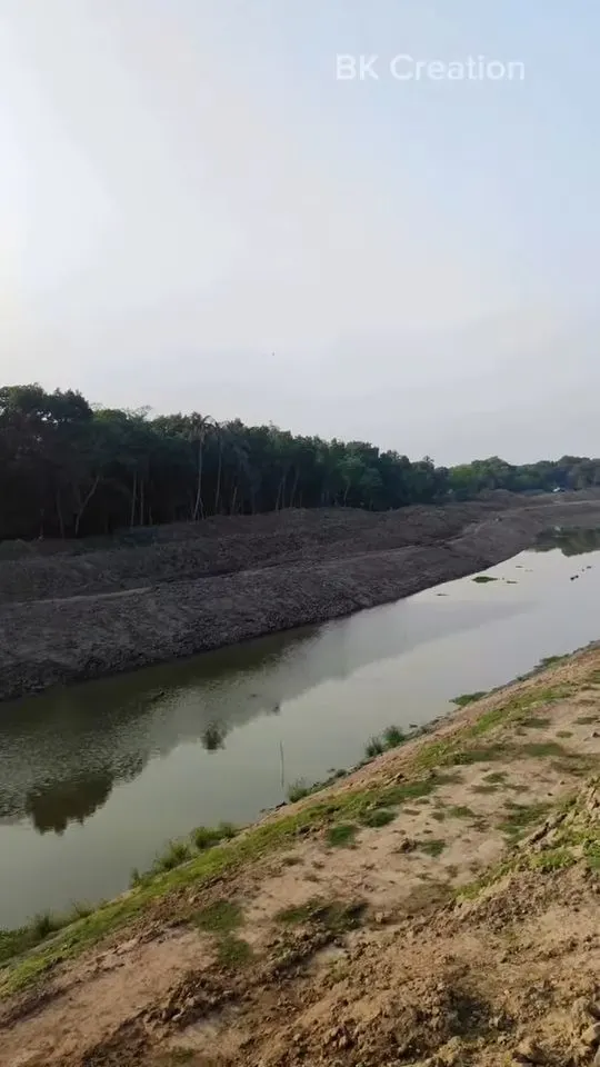 শ্রী শ্রী নারিকেলবাড়ীয়া মহাশ্মশান শিব মন্দির photo
