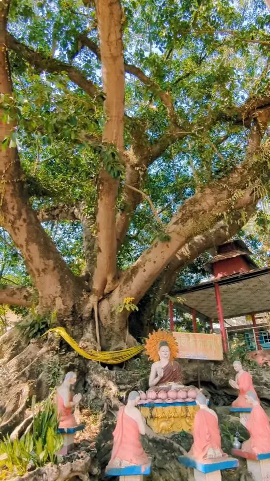 রাংকুট বনাশ্রম বৌদ্ধ বিহার photo