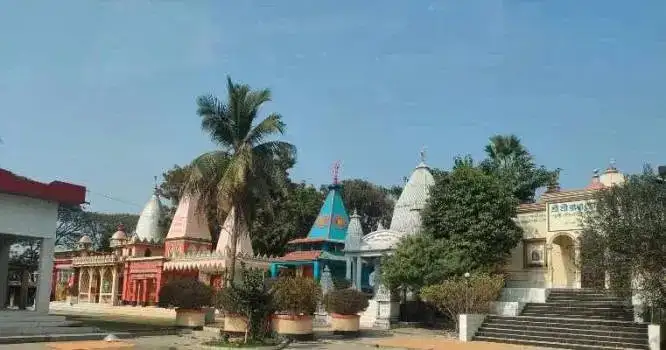 শ্রী শ্রী খেতুরী ধাম - ছবি 14
