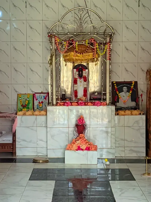সার্বজনীন শ্রী শ্রী সত্য নারায়ণ বিগ্রহ মন্দির - ছবি 19