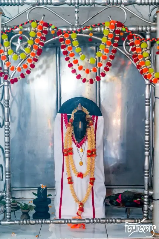 সার্বজনীন শ্রী শ্রী সত্য নারায়ণ বিগ্রহ মন্দির - ছবি 10