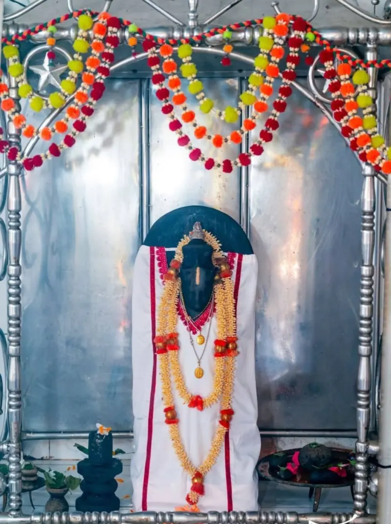 সার্বজনীন শ্রী শ্রী সত্য নারায়ণ বিগ্রহ মন্দির photo