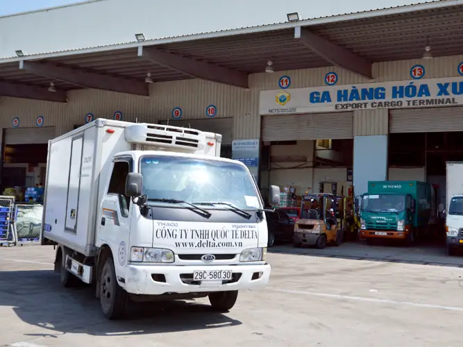 Vận Chuyển Hàng Đông Lạnh Tất Cả Những Gì Bạn Cần Biết