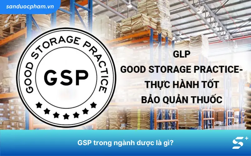 Tiêu chuẩn GMP và GSP là gì? Tại sao chúng quan trọng?