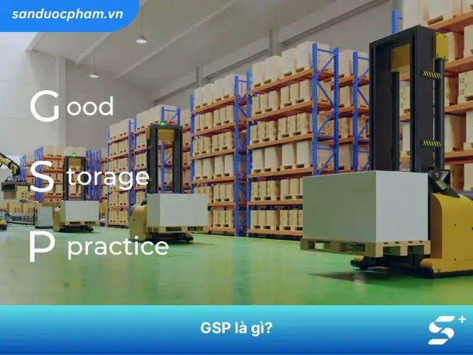 Tiêu chuẩn GMP và GSP là gì? Tại sao chúng quan trọng?