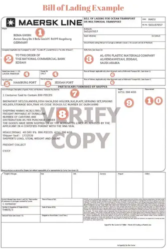 B/L là gì? Tất cả mọi thứ bạn cần biết về các loại Bill of Lading