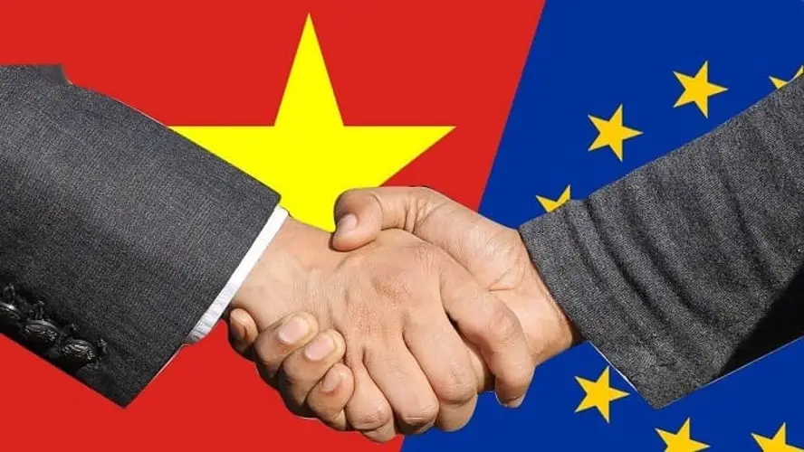 Hiệp định VCFTA là gì? Cơ hội thương mại mới giữa Việt Nam và Chile 3 Hiệp định VCFTA là gì? Cơ hội thương mại mới giữa Việt Nam và Chile