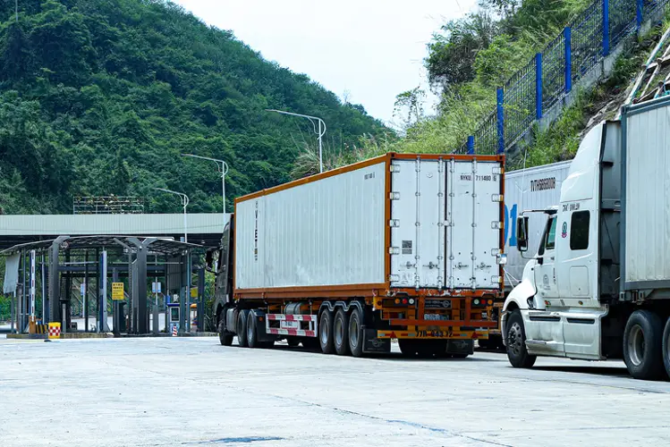 Dịch vụ vận chuyển cây từ Trung Quốc cách thức, giá cước và thủ tục hải quan