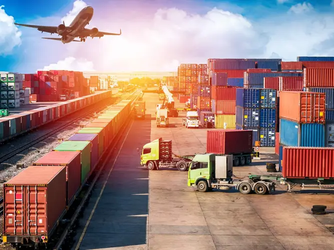 Dịch vụ vận chuyển cây từ Trung Quốc cách thức, giá cước và thủ tục hải quan