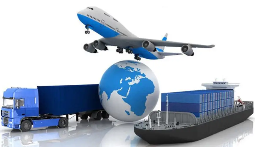 Dịch vụ vận chuyển cây từ Trung Quốc cách thức, giá cước và thủ tục hải quan