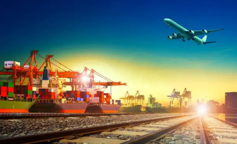 Dịch vụ vận chuyển hoa từ Trung Quốc vào Việt Nam - Hướng dẫn đóng gói và kiểm tra tiến độ