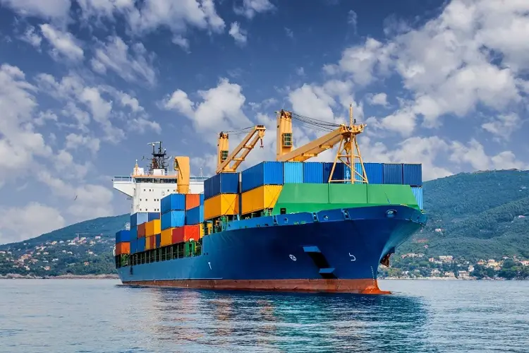 Dịch vụ vận chuyển hoa từ Trung Quốc vào Việt Nam - Hướng dẫn đóng gói và kiểm tra tiến độ