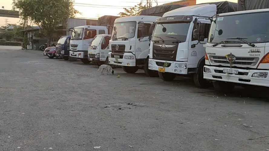 Vận chuyển hàng quá cảnh là gì? Khái niệm, phương tiện, lợi ích và hạn chế
