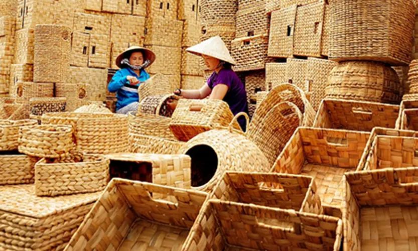 Dịch vụ hun trùng - Giới thiệu, công dụng, quy trình, lợi ích và giá cả