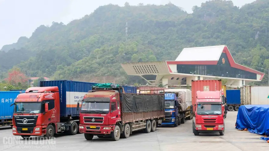 Doanh nghiệp nước ngoài có được kinh doanh tạm nhập tái xuất?