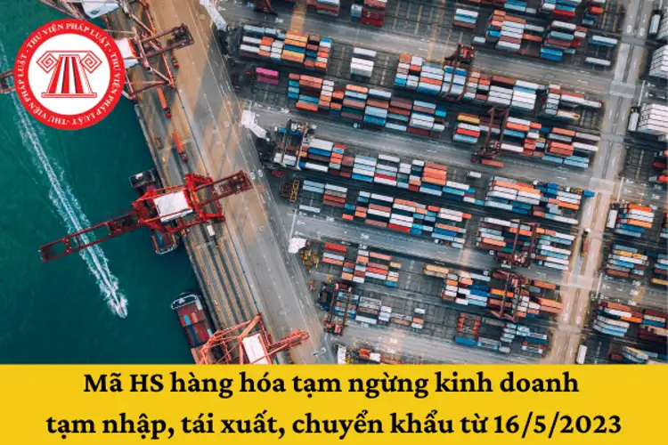 Doanh nghiệp nước ngoài có được kinh doanh tạm nhập tái xuất?