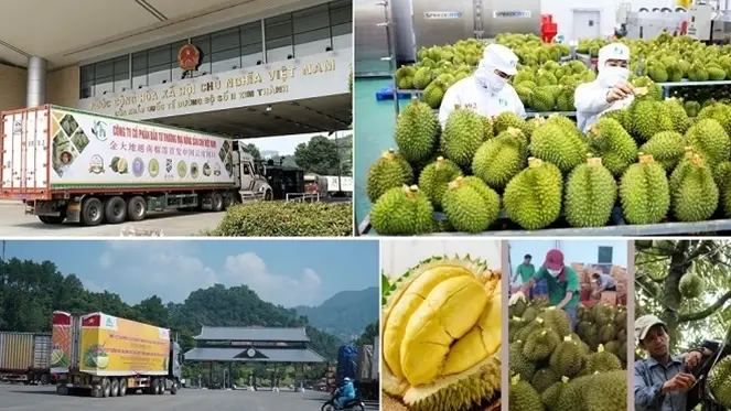 Những khó khăn khi bắt đầu xuất khẩu đối với những doanh nghiệp trẻ Việt Nam