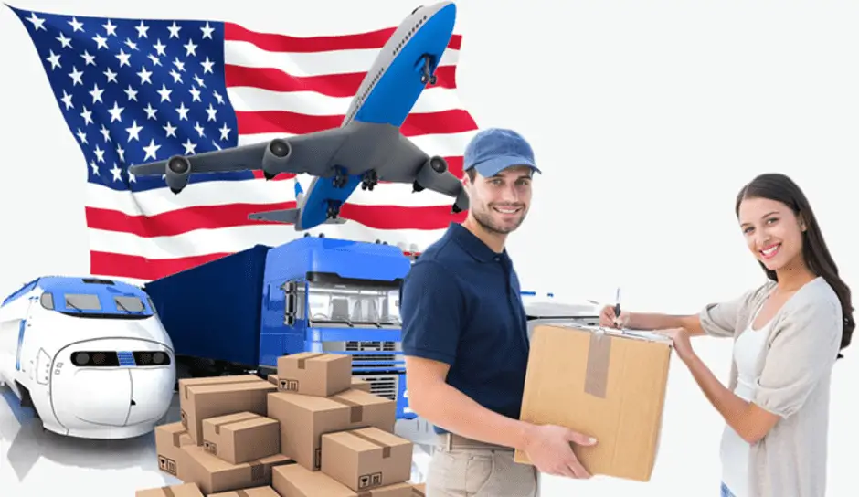 Hướng dẫn chi tiết cách gửi cây cảnh đi Mỹ