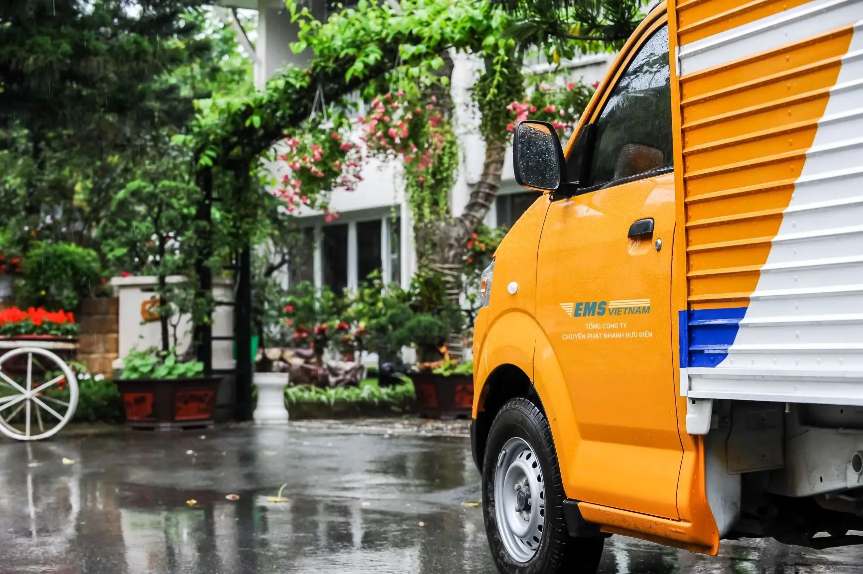 Hướng dẫn chi tiết cách gửi cây cảnh đi Mỹ