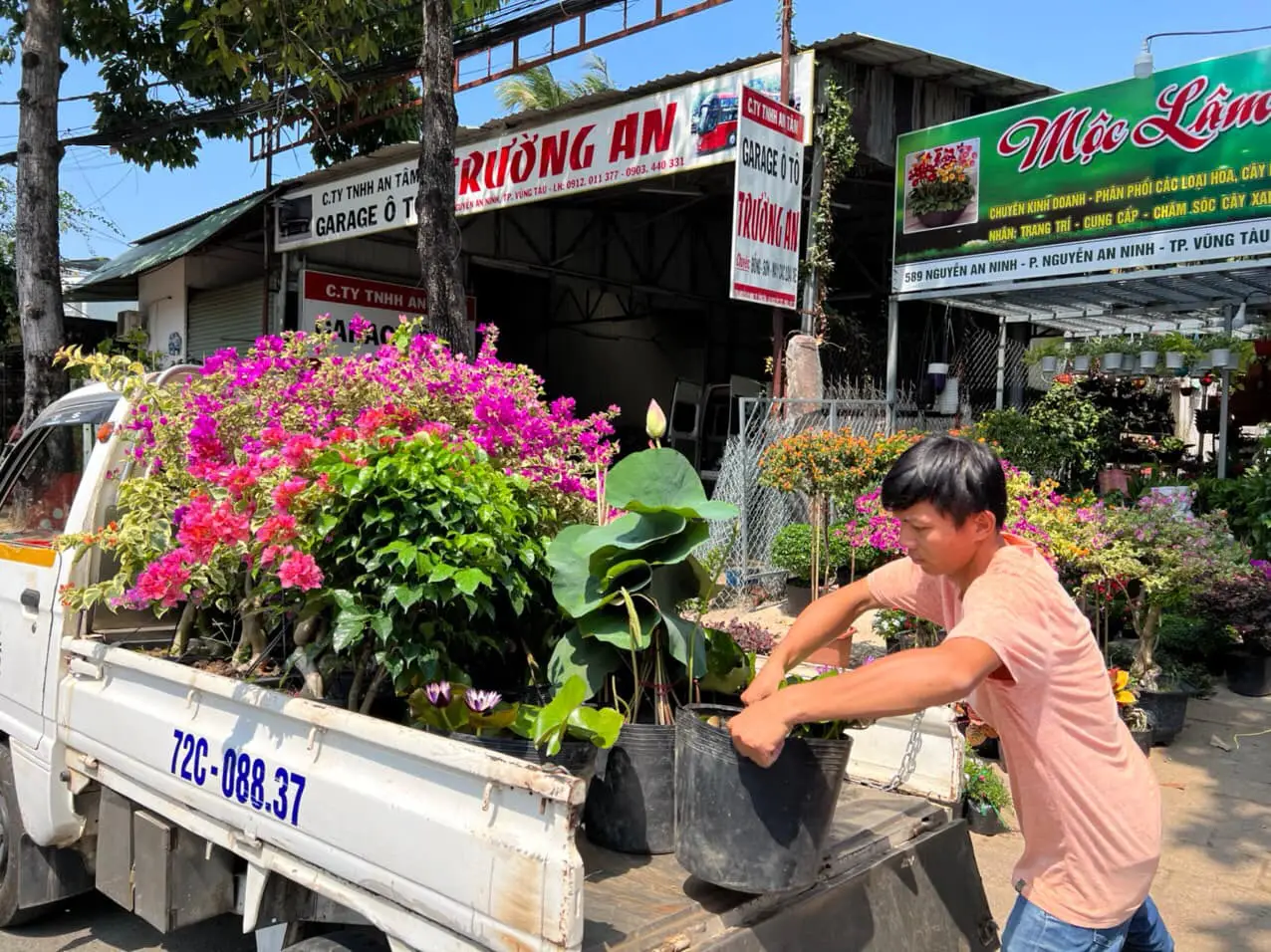 Hướng dẫn chi tiết cách gửi cây cảnh đi Mỹ
