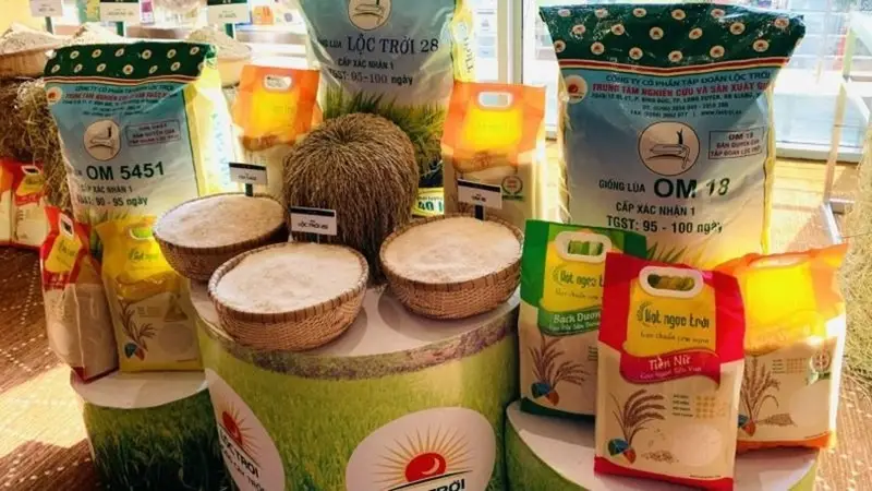 Thủ tục xuất khẩu gạo: Hướng dẫn chi tiết và quy định cần biết