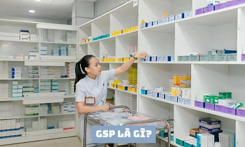 Kho GSP là gì? Tìm hiểu chi tiết về kho chứa hàng đạt chuẩn Bộ Y Tế 8 Kho GSP là gì? Tìm hiểu chi tiết về kho chứa hàng đạt chuẩn Bộ Y Tế