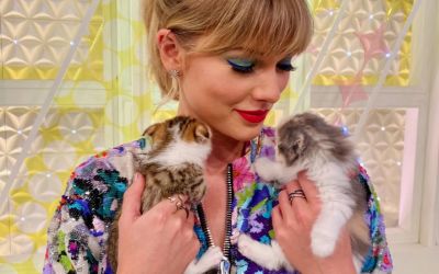 Taylor Swift’s Legal Team Denounces Showgirl Trademark Lawsuit as Baseless