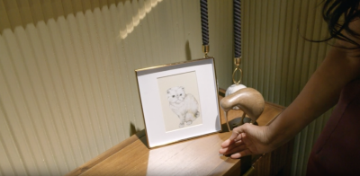 Taylor Swift's Cat Shows Up in Padma Lakshmi’s ‘America's Culinary Cup’