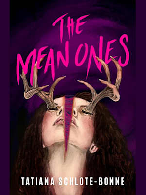 The Mean Ones by Tatiana Schlote-Bonne