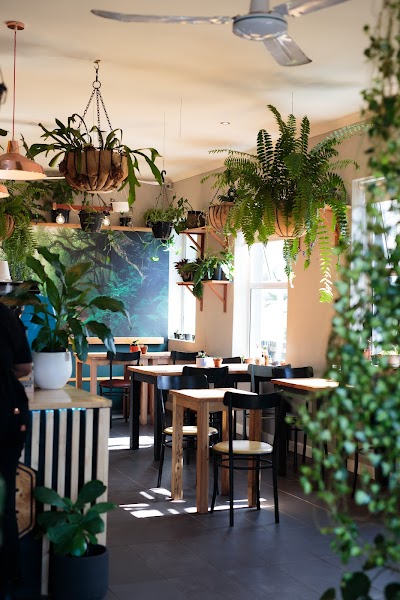 Selva Cafe & Co.