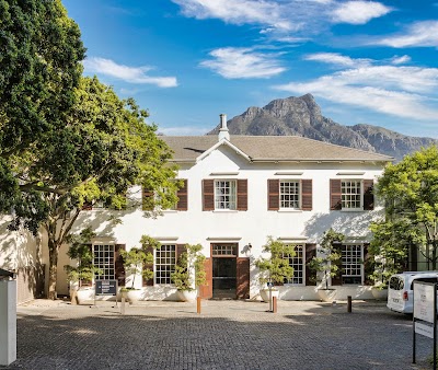 The Vineyard