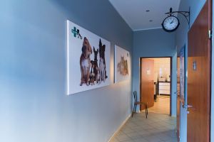 Gabinet weterynaryjny Częstochowa - Vet-KoR