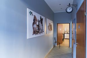 Vet-KoR - Centrum zdrowia małych zwierząt Częstochowa