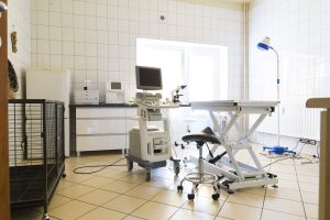 Gabinet weterynaryjny Częstochowa - Vet-KoR
