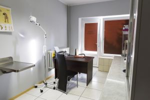 Lecznica dla zwierząt Częstochowa