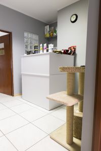 Weterynarz Częstochowa - Vet-KoR