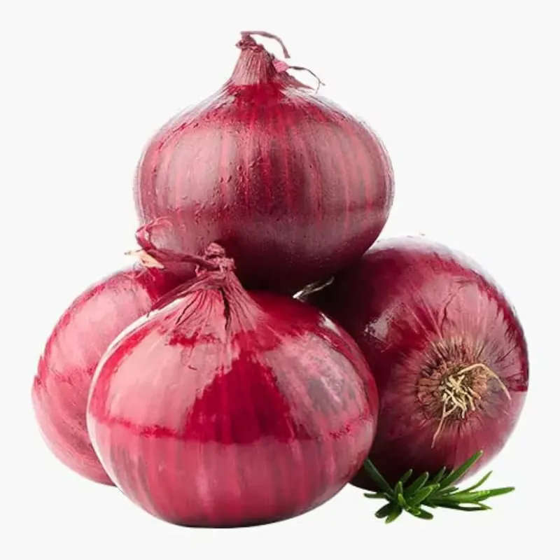 Fresh New  Onions