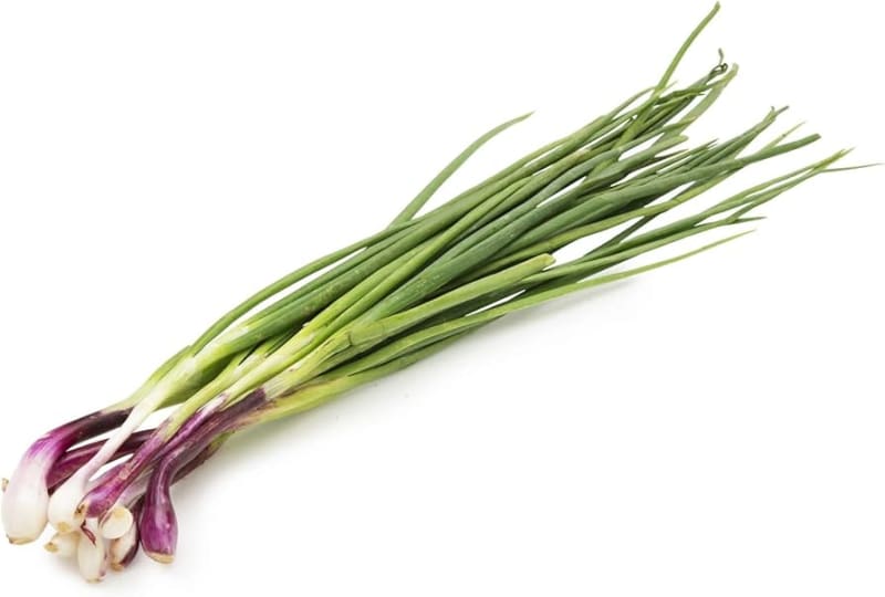 Spring Onion (One tie)