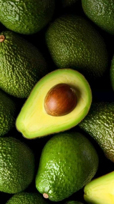 Avocado 