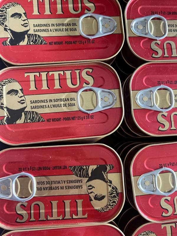 Sardines 