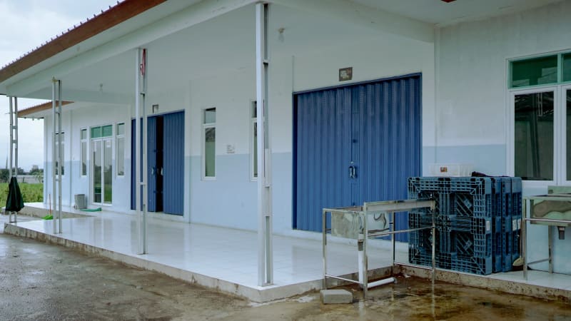 Dapur MBG