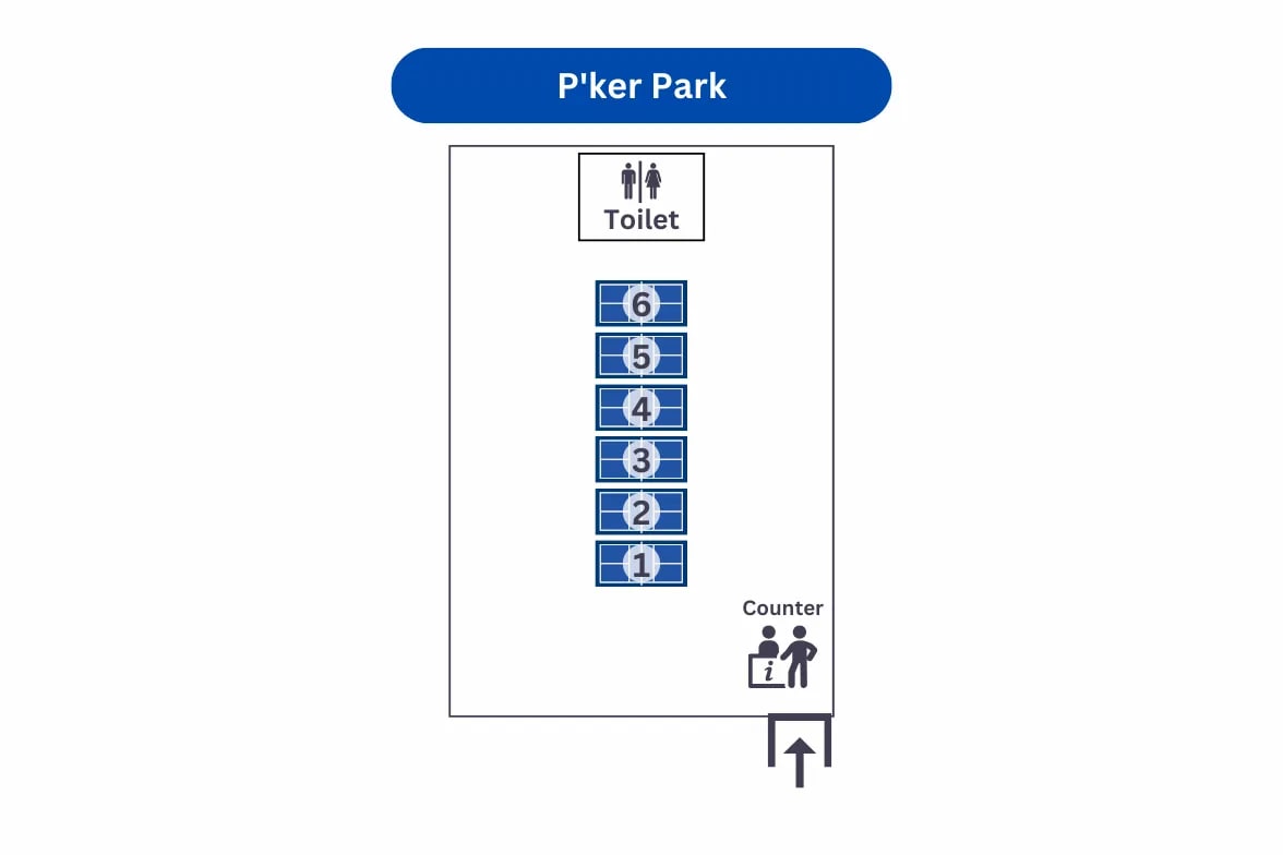 Court layout