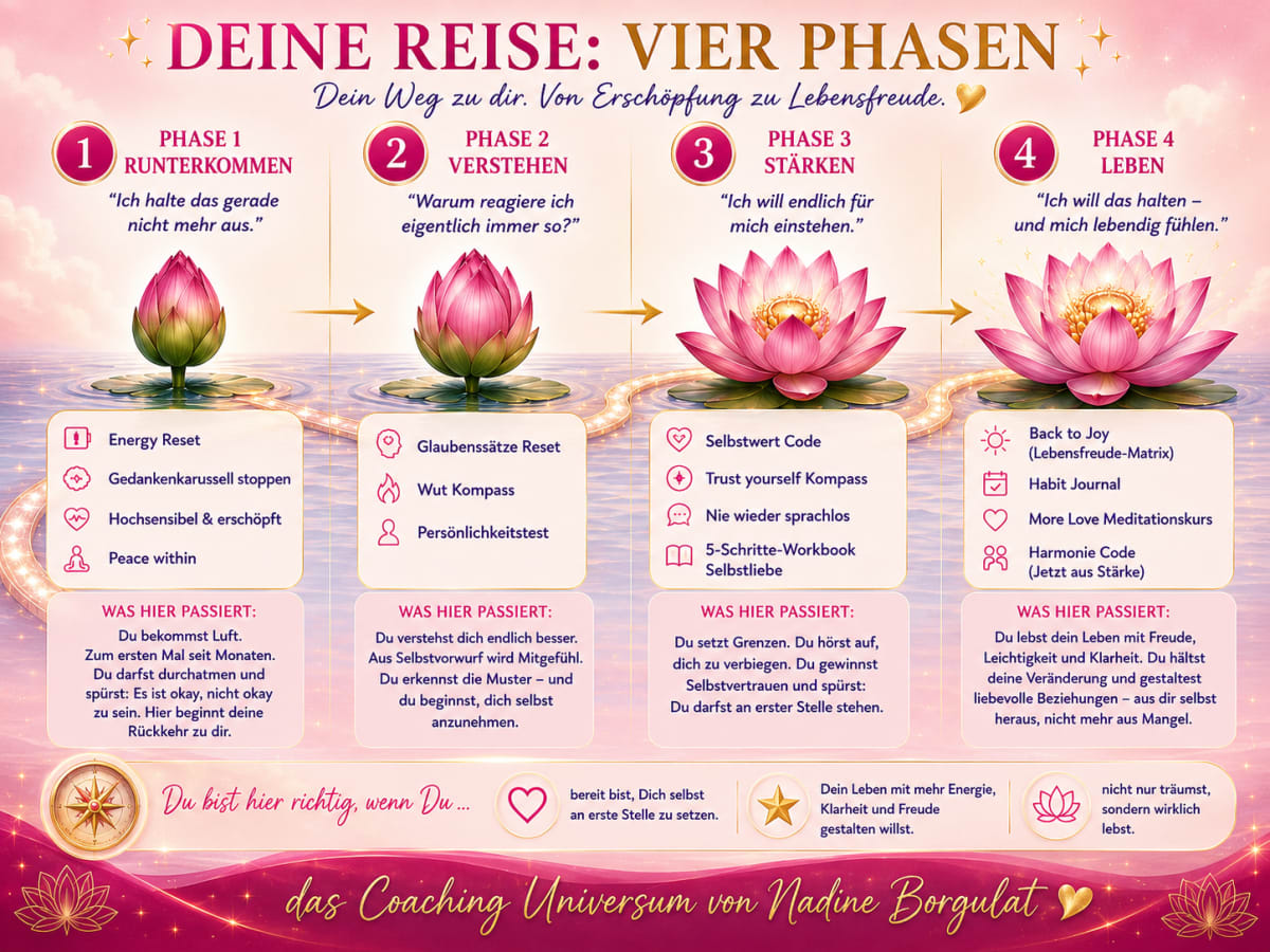 Coaching Universum, die vier Phasen