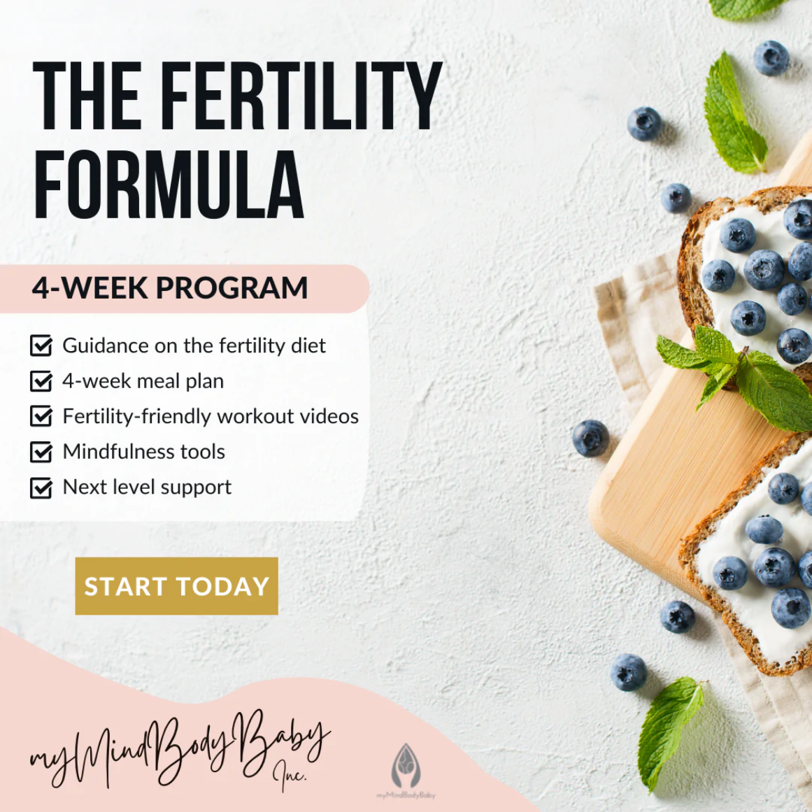 myMindBodyBaby Egg Quality Formula - 4-Week Fertility Program