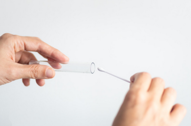 person placing a cotton swab in a beaker