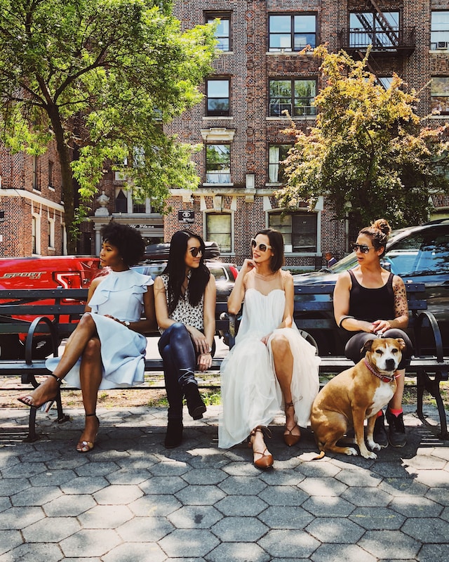 group of four women and a dog on a city park bench